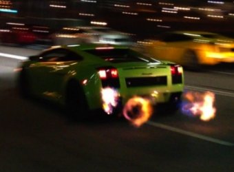     1250- Gallardo