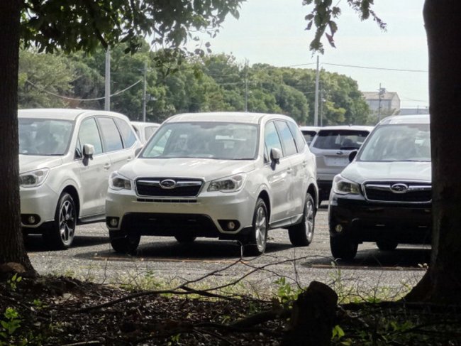       Subaru Forester  