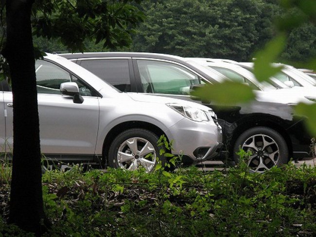       Subaru Forester  