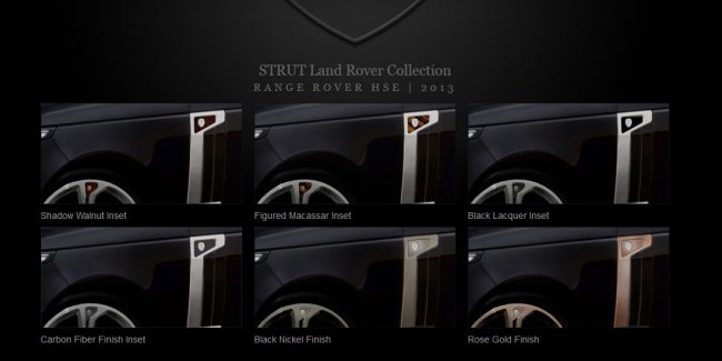   Strut      Range Rover